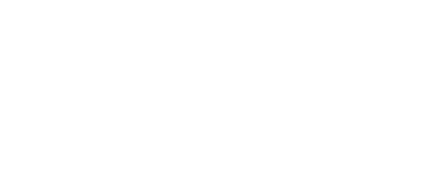 IX Cars